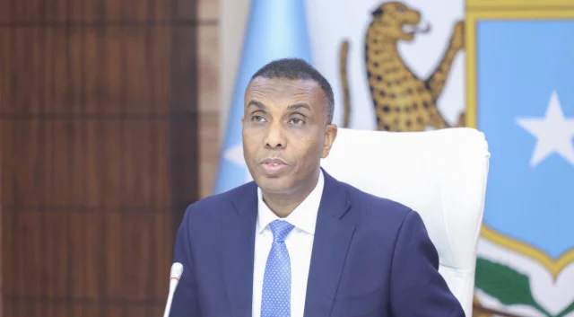 Somali Prime Minister dismisses ministers who resigned over federal policies
