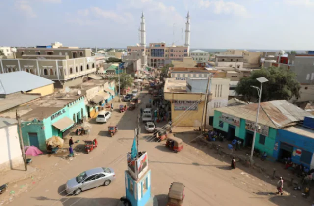 Somali army captures strategic city as regional leader resigns