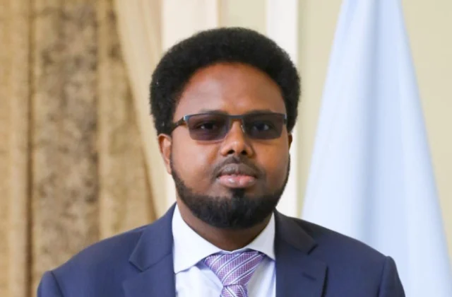 President Mohamud Appoints New Deputy Director General at Villa Somalia