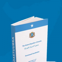 The Role of Constitutional Authority in Political Decision-making