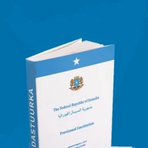 The Role of Constitutional Authority in Political Decision-making
