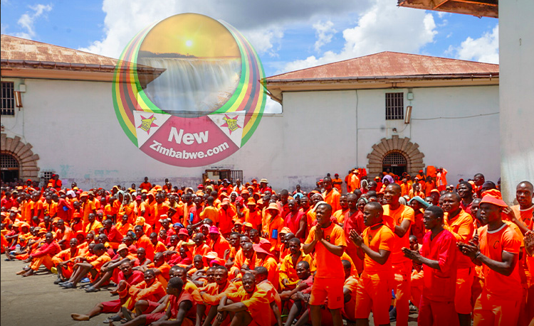 Zimbabwe Launches Mass Amnesty, Releasing Prisoners Under Presidential Pardon