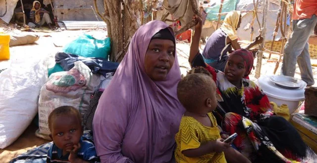 Drought-hit Lower Juba pastoralists flee toward Somali-Kenyan border