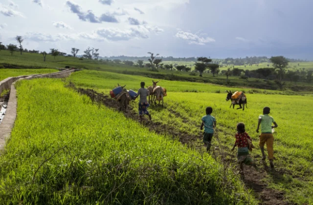 Ethiopia Faces Energy and Fertilizer Shock From Middle East Turmoil