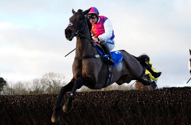 Haiti Couleurs targets Nationals hat-trick after Irish and Welsh wins