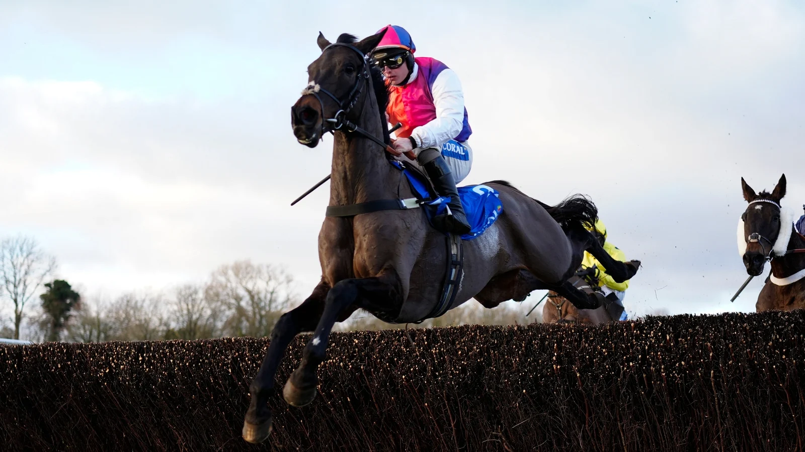 Haiti Couleurs targets Nationals hat-trick after Irish and Welsh wins