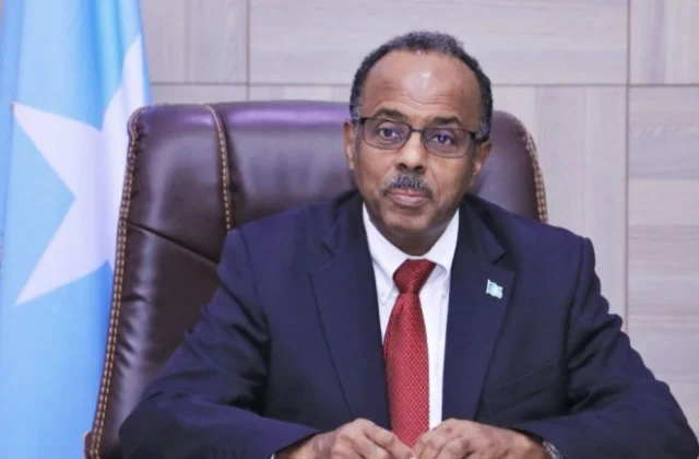 Hiiraan Online Urges Protection of Somalia’s State-Building Progress