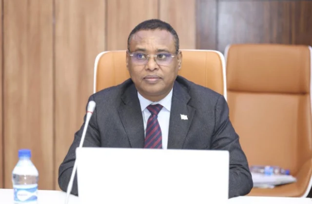 Somali Prime Minister appoints interim leader for Southwest State during transition