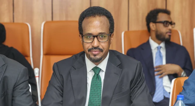 Somali minister accuses Puntland State forces of using excessive force in Badhan