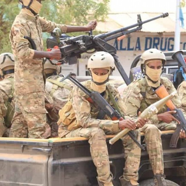 Somalia Intelligence Raid Kills 33 in Al-Shabaab Gathering