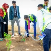 Somalia Launches Tree-Planting Campaign in Mogadishu to Strengthen Climate Action