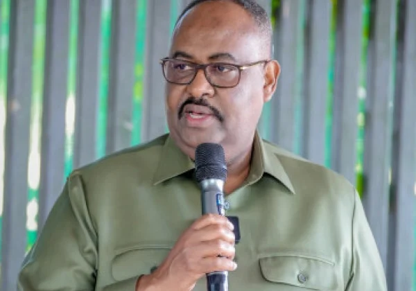 Somalia: Puntland State President Accuses Federal Government of Undermining Federal System