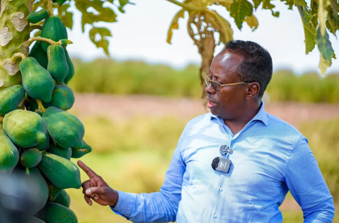 Somalia agriculture minister urges local production to end aid dependence