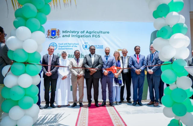 Somalia launches national agriculture coordination platform to boost food security