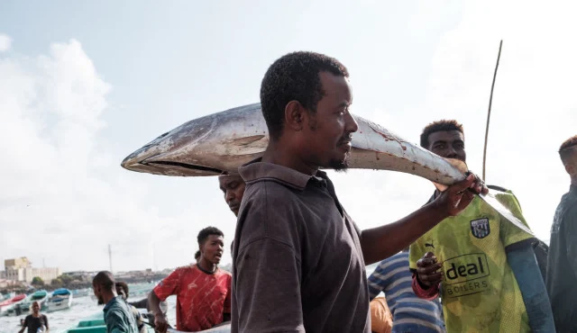 Somalia targets China seafood exports after zero-tariff policy opens market