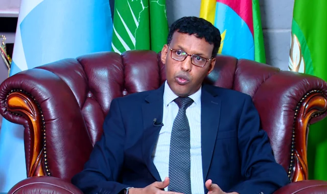 Somalia warns of repercussions for countries undermining its sovereignty