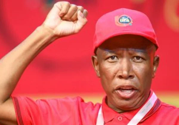 South African Politician Julius Malema Jailed for Gun-Law Violation