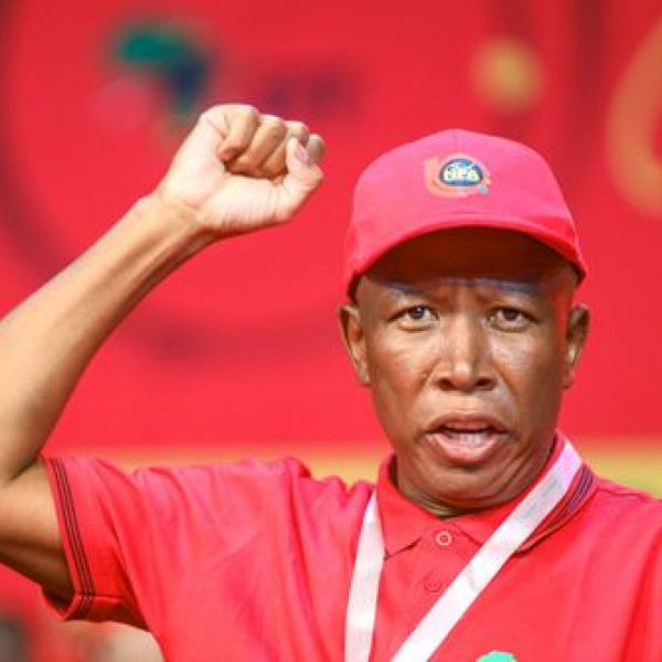 South African Politician Julius Malema Jailed for Gun-Law Violation
