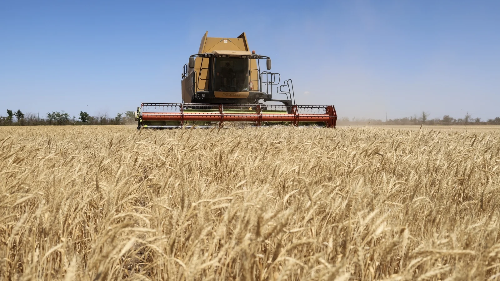 Ukraine and Israel dispute alleged stolen grain shipments