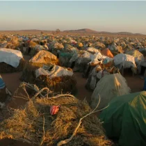 20 years after global outcry, Darfur children face deeper crisis, less attention