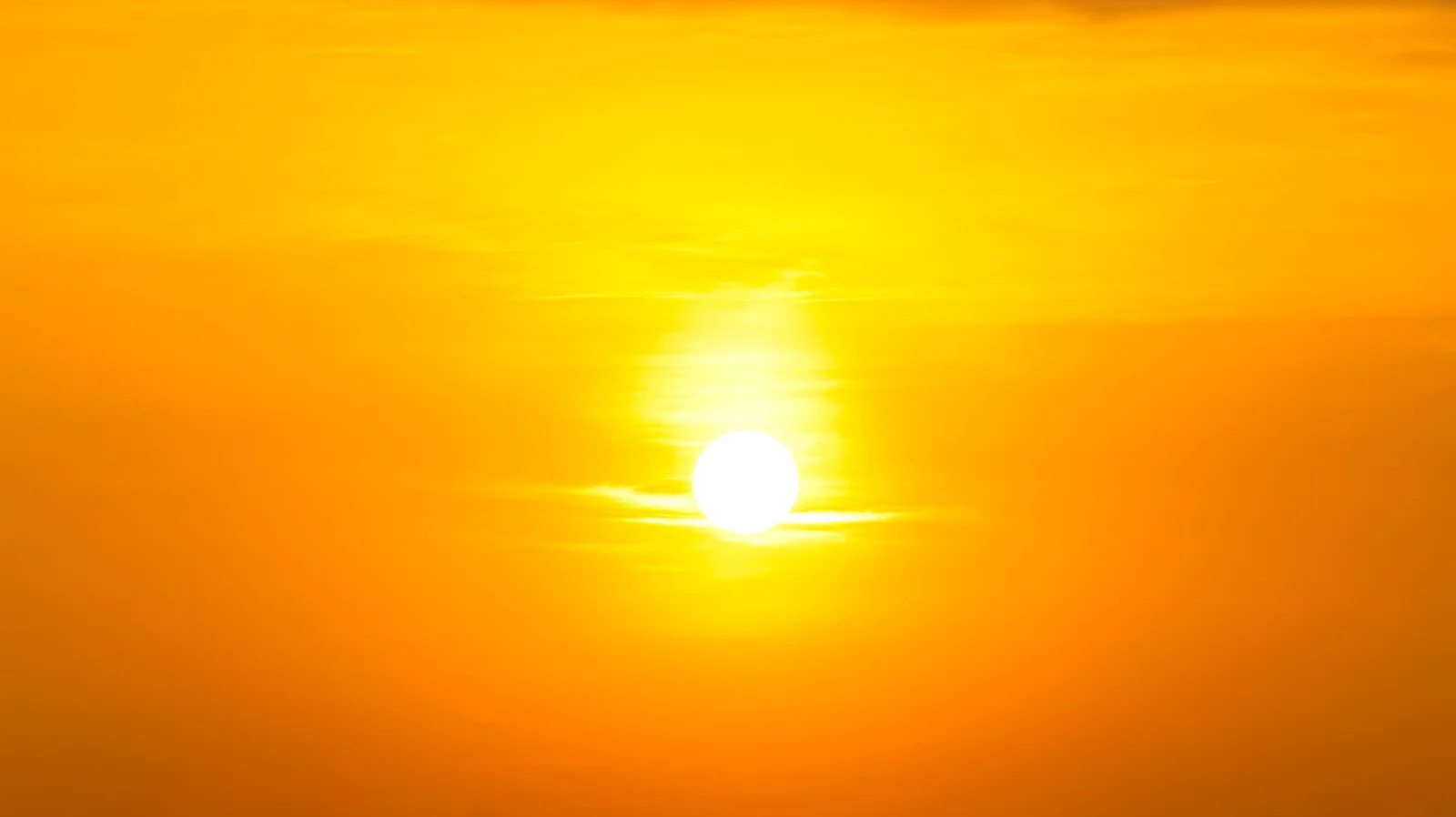 Climate scientists warn extreme weather events are likely this year
