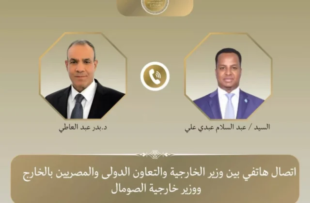 Egypt and Somalia foreign ministers discuss strategic partnership