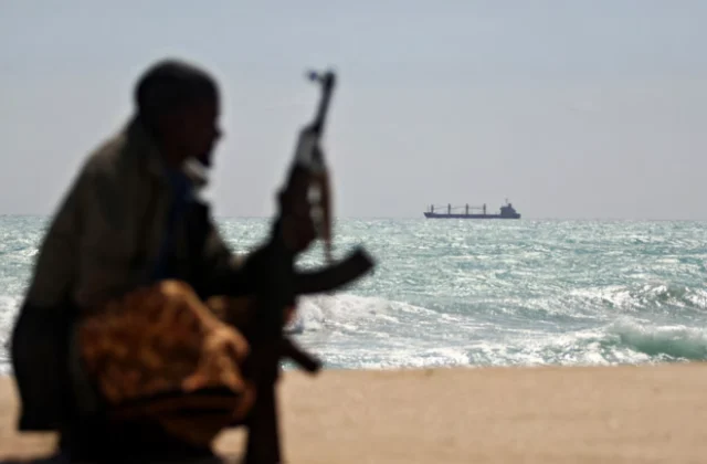 Egypt coordinates with Somalia to secure swift release of hijacked sailors