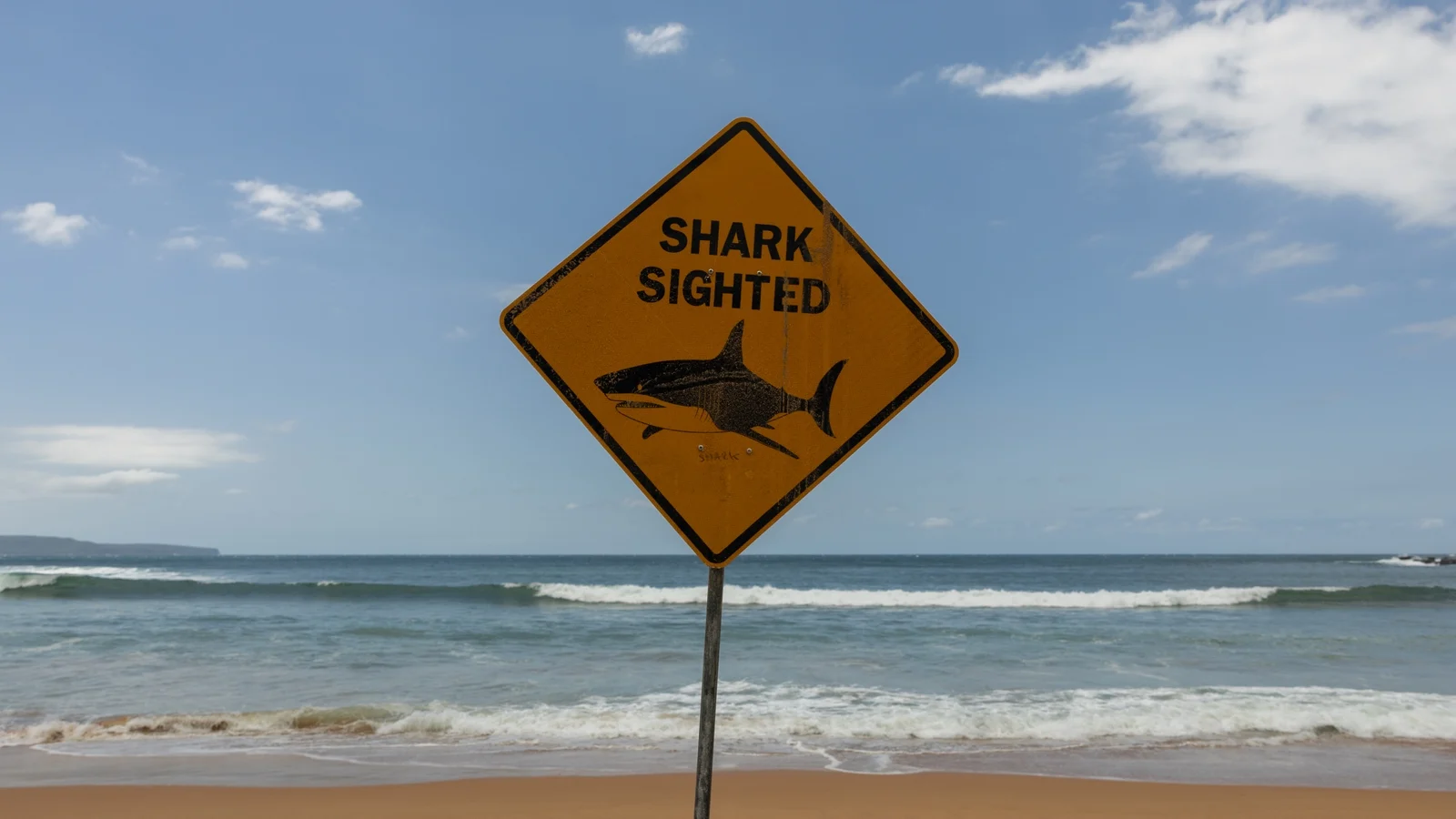 Great white shark kills man in Western Australia