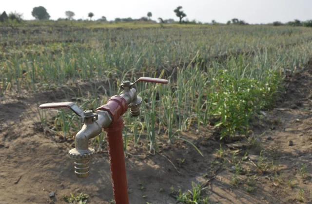 New Census Reveals Ongoing Struggles for Mozambican Farmers