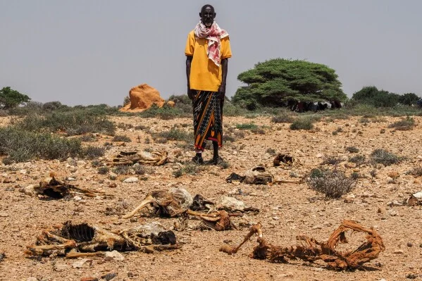 Oxfam urges action as 6 million Somalis face acute hunger