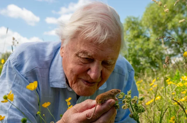 Renowned environmentalist David Attenborough celebrates his 100th birthday