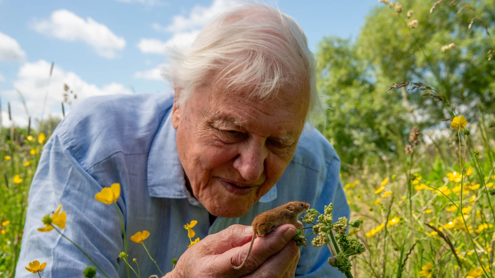 Renowned environmentalist David Attenborough celebrates his 100th birthday