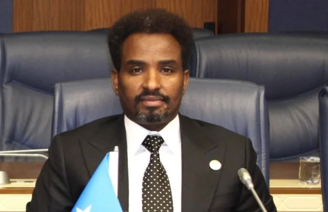 Somali lawmaker warns President Mohamud over Galmudug election tensions