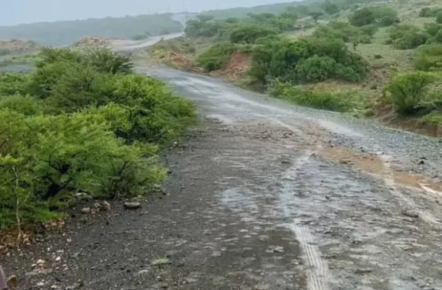 Somali regional state rejects drought claims, cites improved conditions during Gu rains