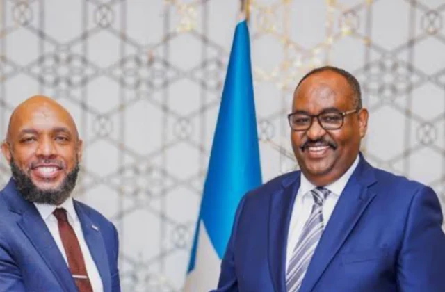 Somalia: Puntland State President Hosts US Delegation After Mogadishu Talks Collapse
