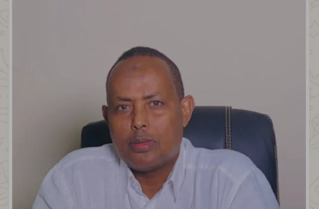 Somalia faces growing foreign interference amid fight to preserve sovereignty