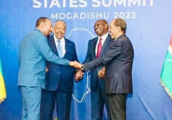 Somalia’s Neighbours Question Federal Government Legitimacy, Scale Back Ties