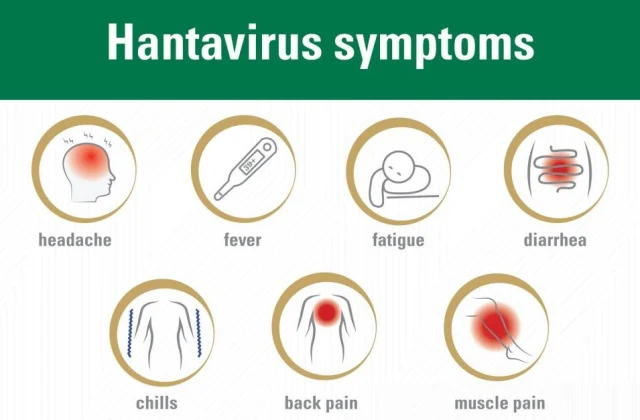 South African Health Minister Confirms Swift Response to Hantavirus Cases