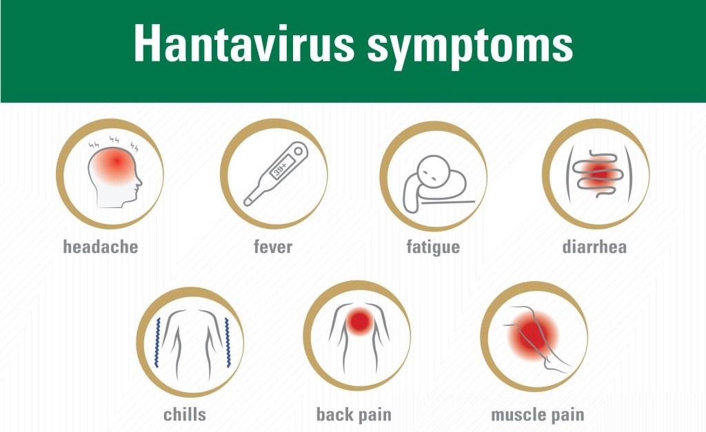 South African Health Minister Confirms Swift Response to Hantavirus Cases