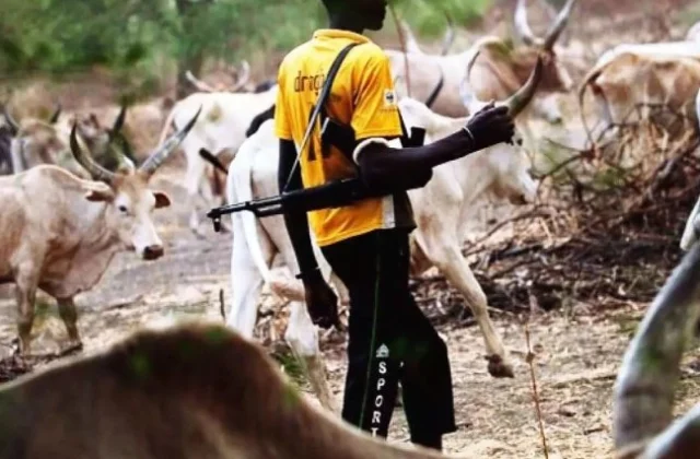 Thousands of Fulani Militants Contribute to Nigeria’s Security Crisis, Report Says