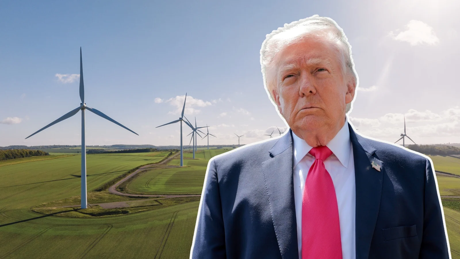Assessing whether Donald Trump is winning his fight against wind power