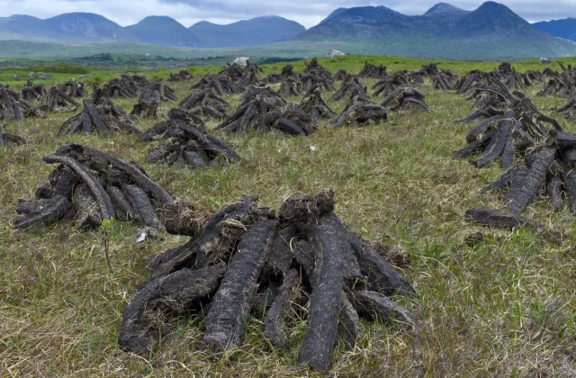 EU takes Ireland to court over alleged failure to enforce peat-cutting rules