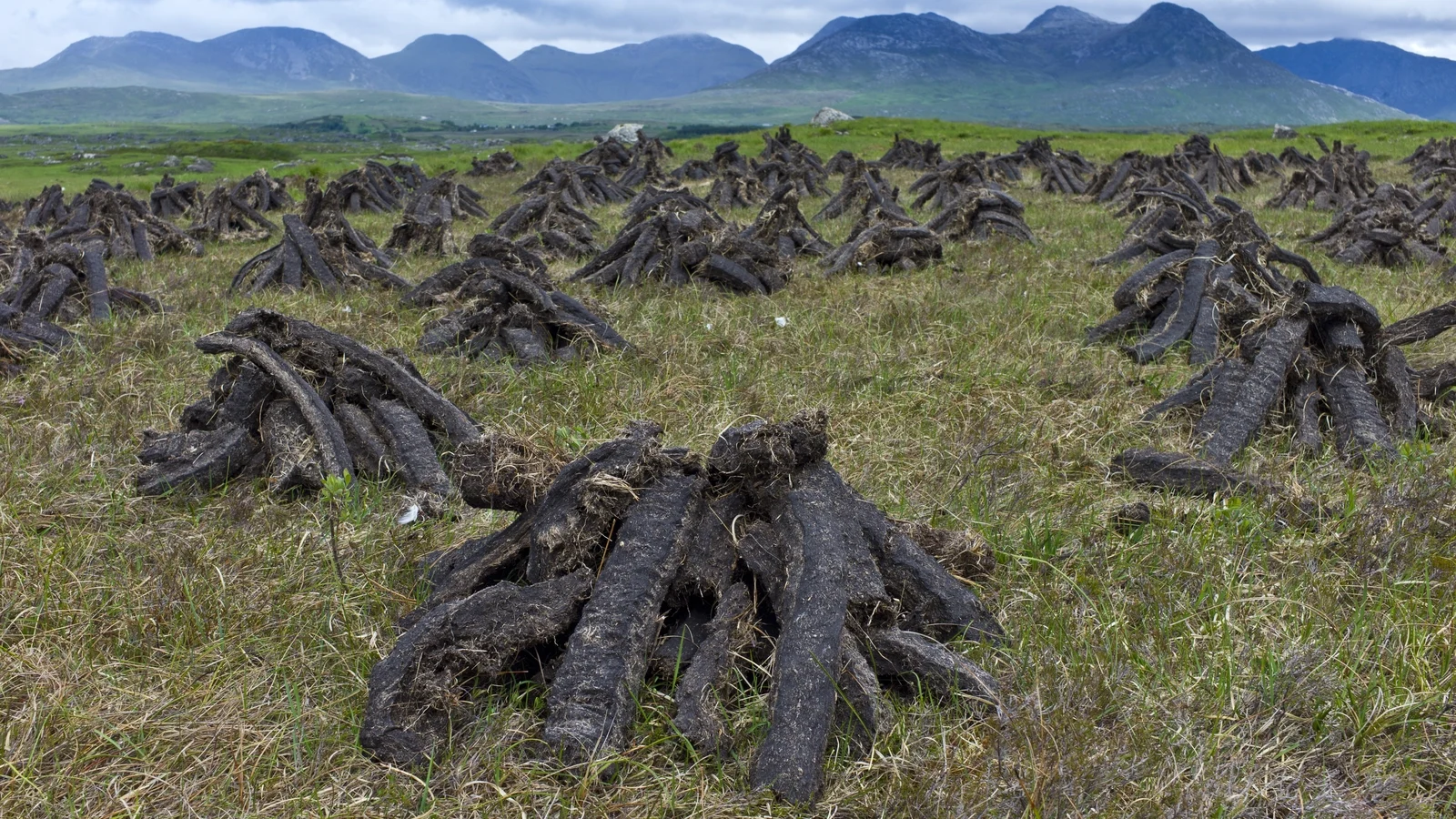 EU takes Ireland to court over alleged failure to enforce peat-cutting rules