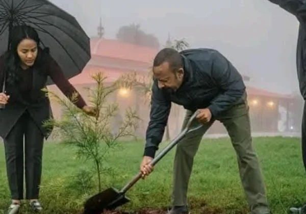 Ethiopia’s Green Legacy Initiative Reshapes Society, Economy and Diplomacy