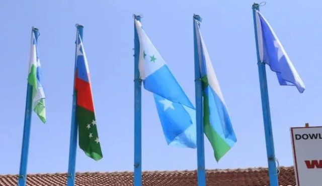 Four Somali states withdraw from national fisheries strategy process