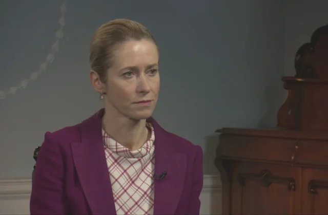 Kallas Says Facts on Aughinish Must Be Clarified
