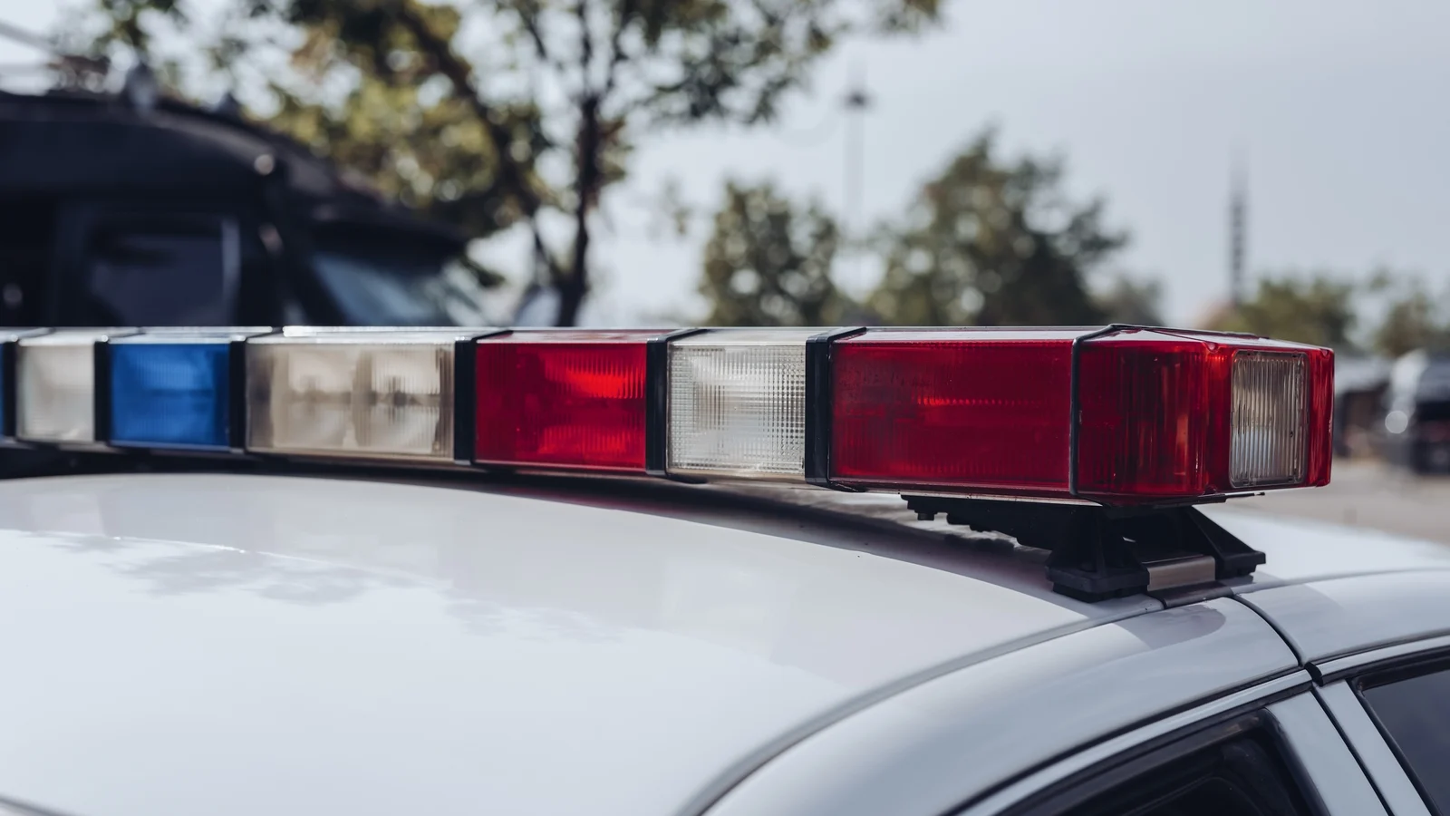 Manhunt underway after shooting near US festival wounds 12