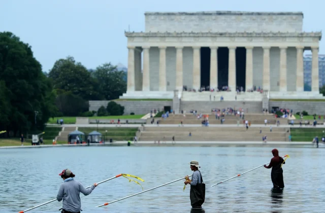 Peeling Paint Adds to Problems for Trump’s Pool Project