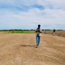 Somali Journalists Report on Climate Crisis While Living Its Impacts