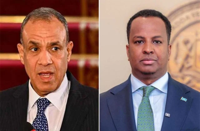 Somali foreign minister praises Egypt’s support in call with Abdelatty
